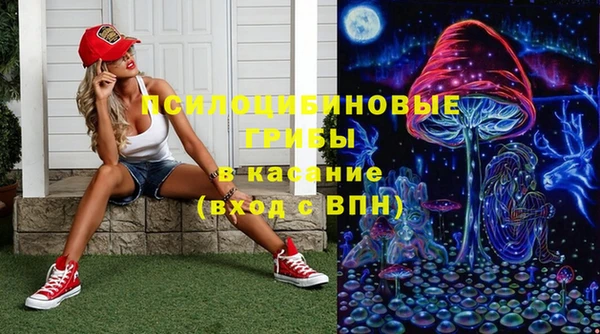 стаф Покачи