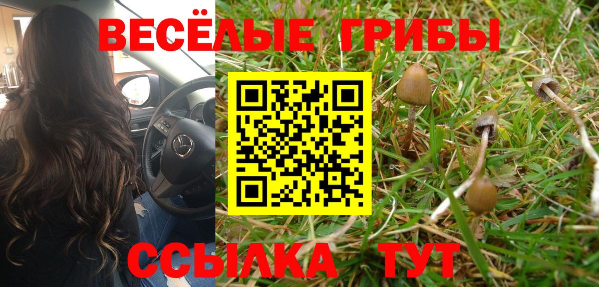 где купить наркоту  Галлюциногенные грибы Psilocybe  Вход с VPN  Ярцево 